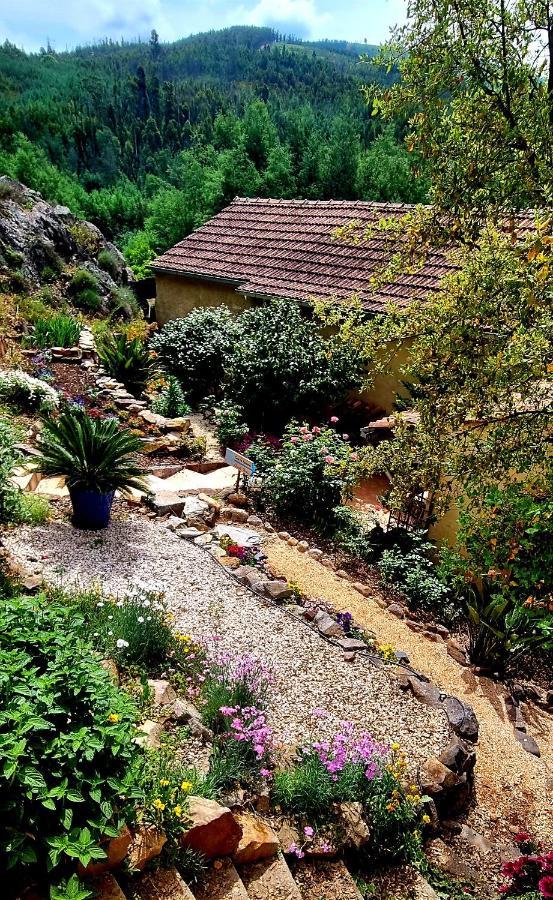 Quinta do Cabril Serpins Exterior foto